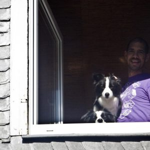 Mann mit zwei Border Collies am Fenster