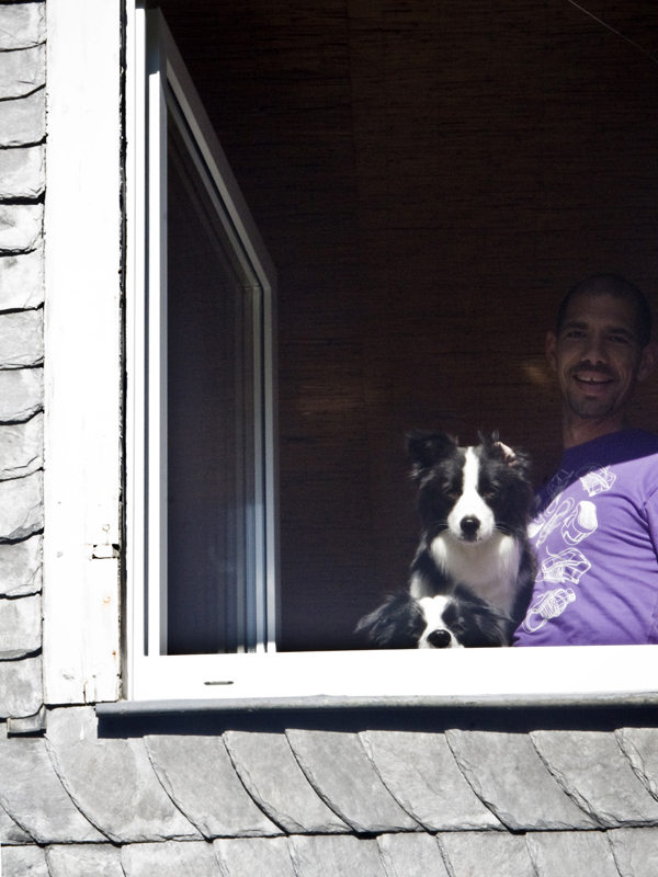 Mann mit zwei Border Collies am Fenster