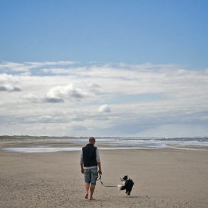 Urlaub mit Hund in Dänemark, Border Collie am Strand