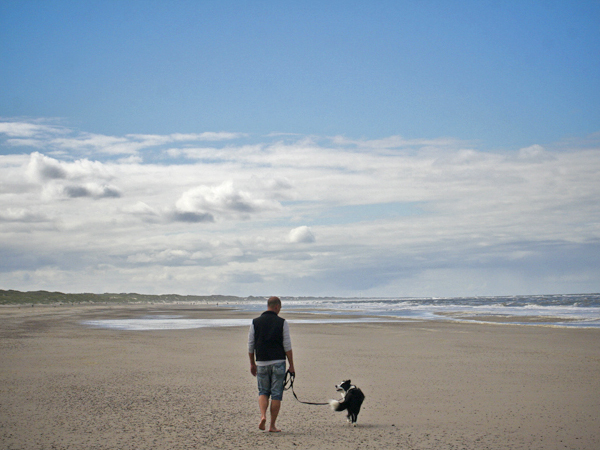 Urlaub mit Hund in Dänemark, Border Collie am Strand