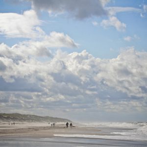 Urlaub mit Hund in Dänemark