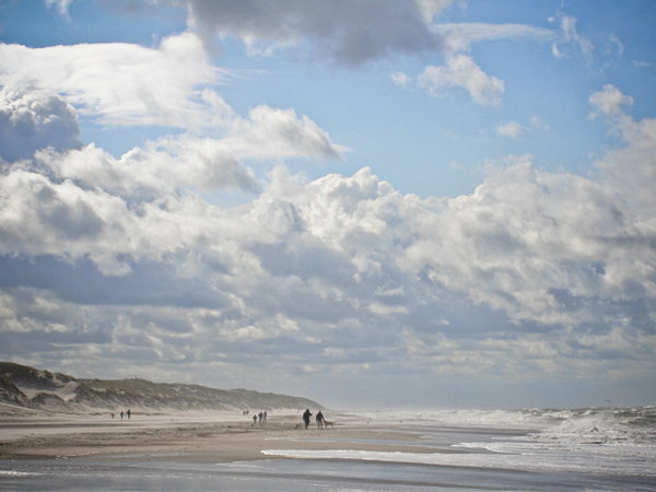 Urlaub mit Hund in Dänemark