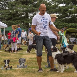 28|08|2016 – »Ida« und Dirk auf der CAC Dormagen