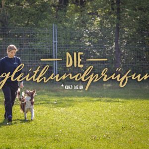 Begleithundprüfung