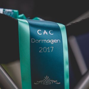 30|07|2017 – Sechs Border Collies auf der CAC Dormagen