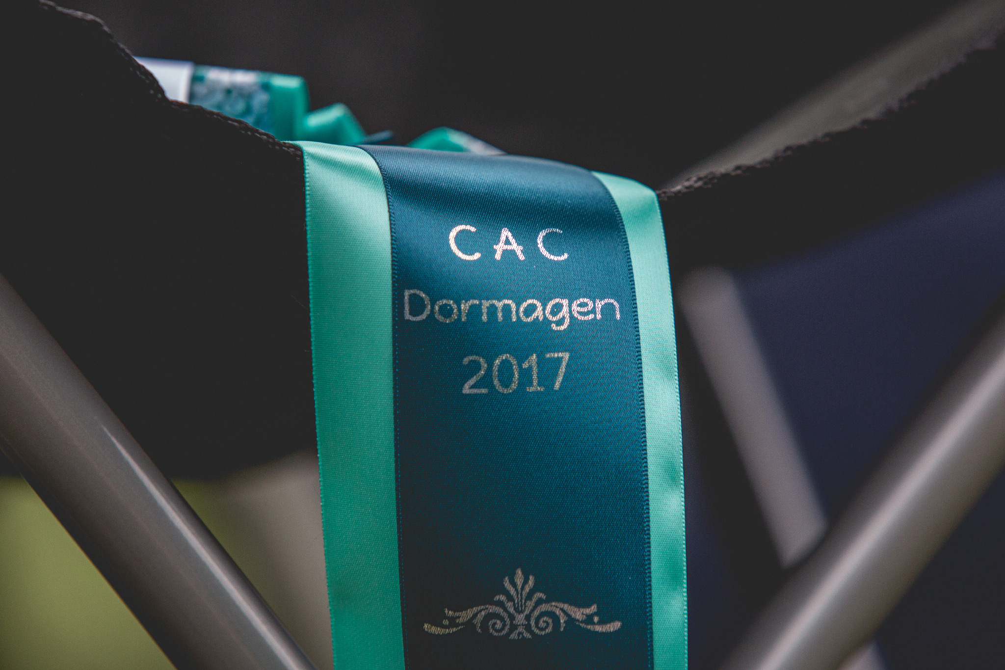 30|07|2017 – Sechs Border Collies auf der CAC Dormagen