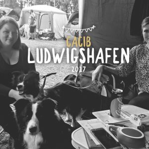 13|08|2017 – Ellie und Crazy auf der CACIB Ludwigshafen