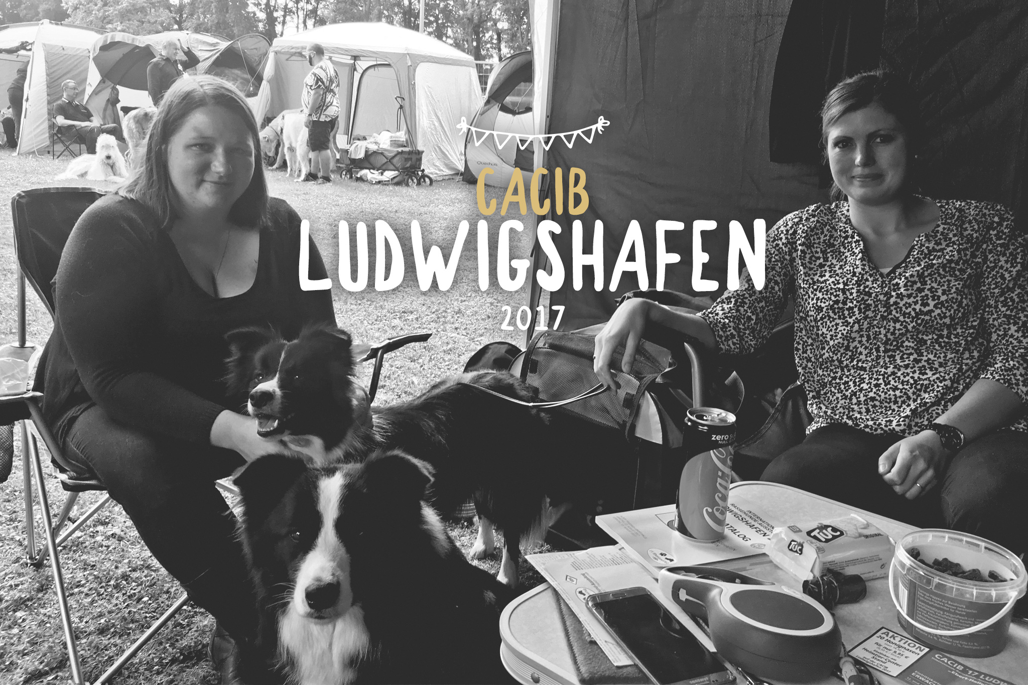 13|08|2017 – Ellie und Crazy auf der CACIB Ludwigshafen