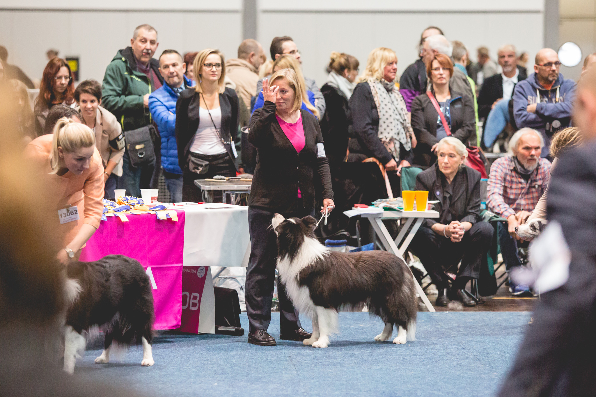 11|11|2017 – World Dog Show in Leipzig