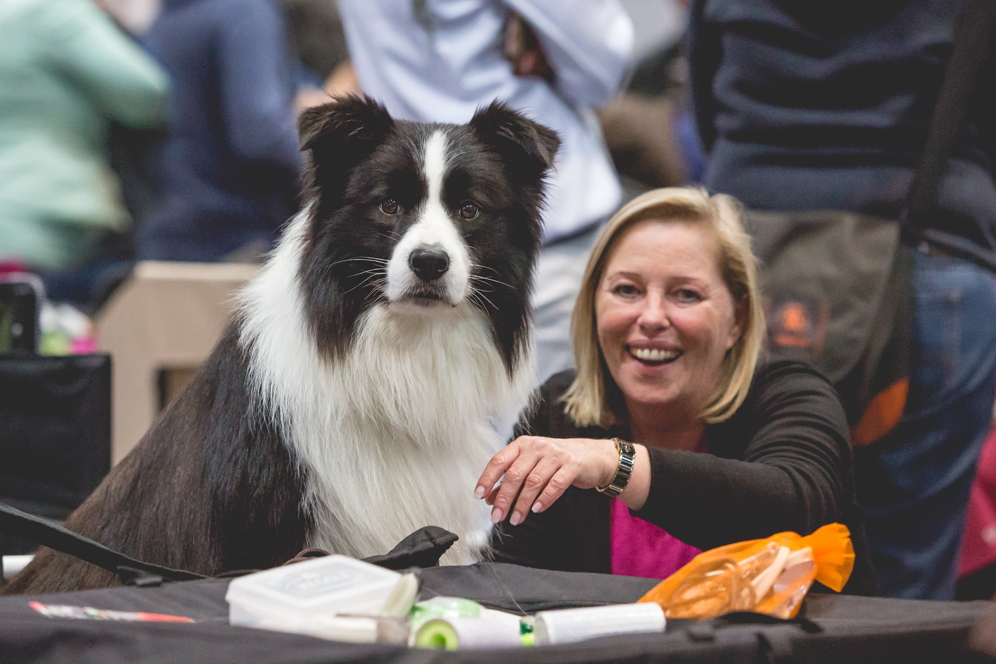 11|11|2017 – World Dog Show in Leipzig