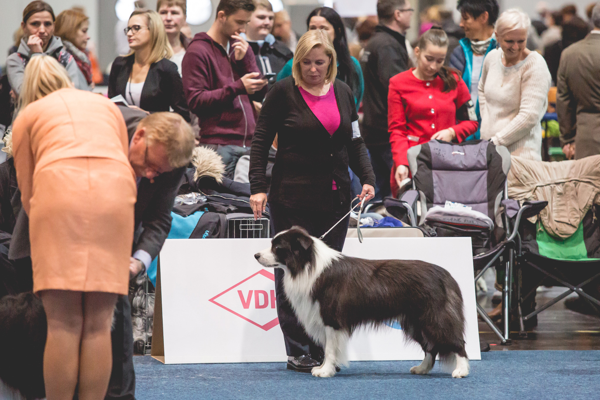 11|11|2017 – World Dog Show in Leipzig