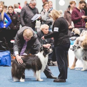 11|11|2017 – World Dog Show in Leipzig