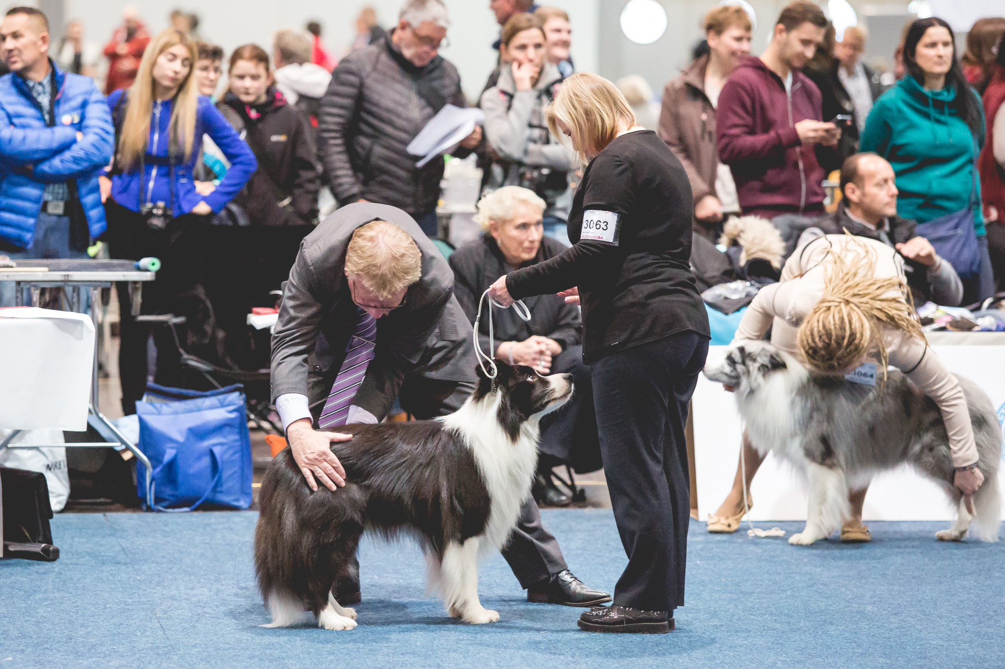 11|11|2017 – World Dog Show in Leipzig