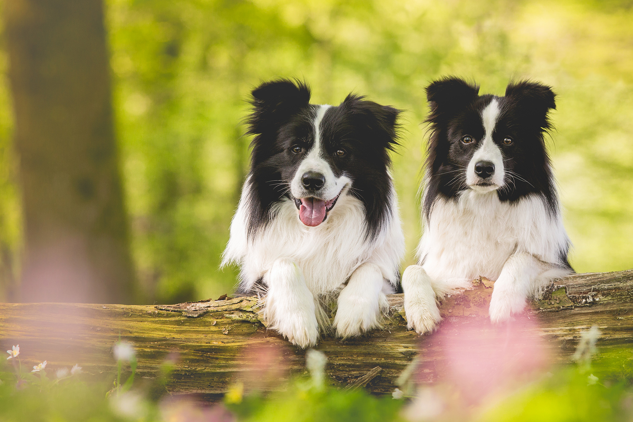 18|04|2018 – Zion und Heidi