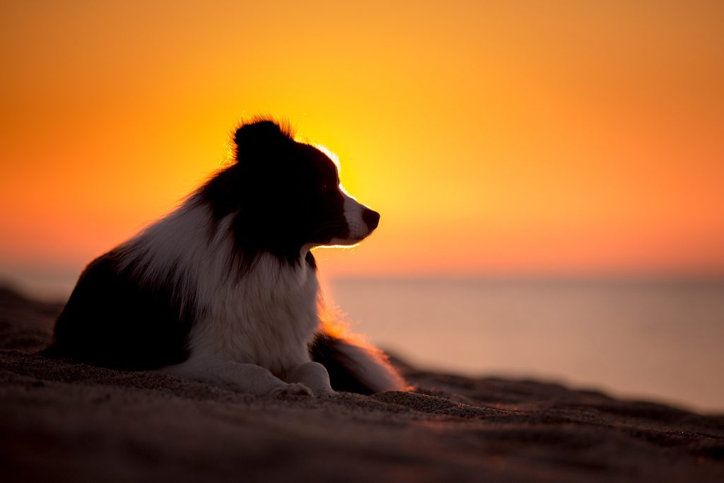 12|05|2018 – Sonnenaufgang am Spiaggia di Osalla