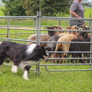 Bounty (Broadmeadows Dressed for Success) beim Hüte-Workshop in der Eifel