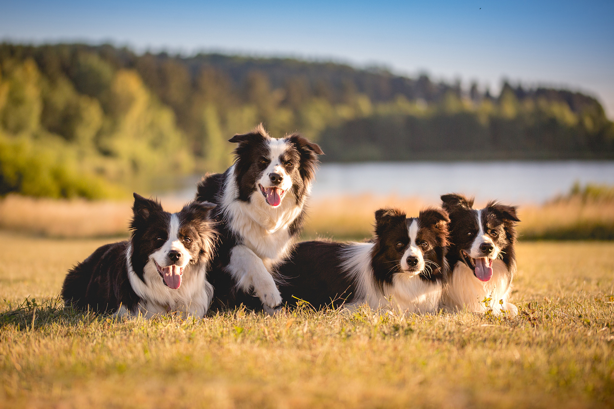 02|07|2018 – Ida, Nell, Heidi und Zion