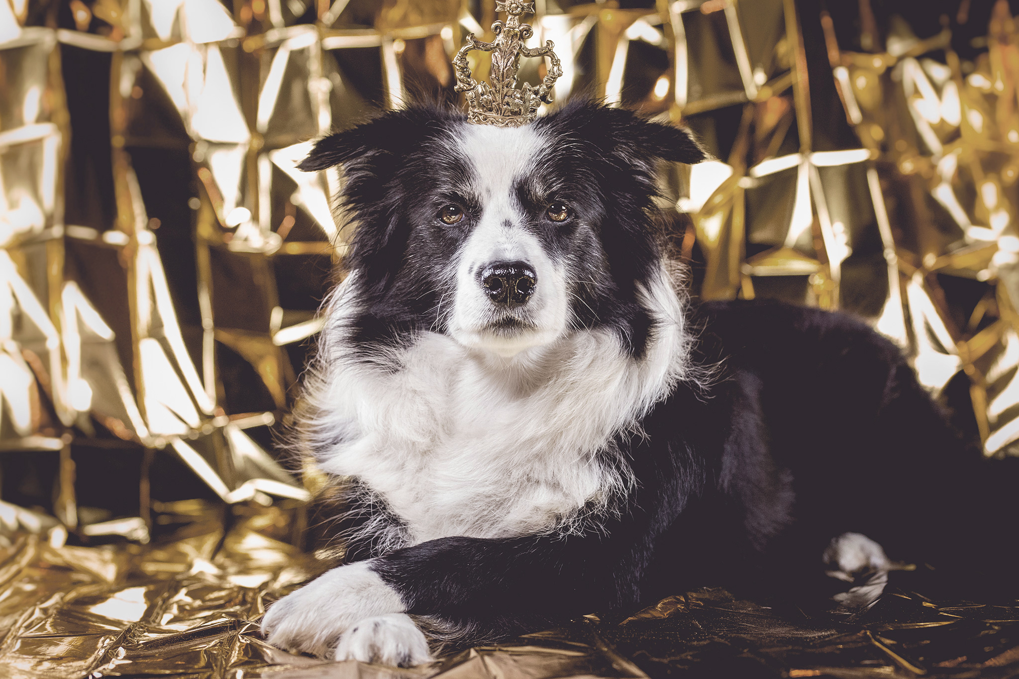 13|11|2018 – Auch Mama Nell wünscht ihren Goldjungs und -mädchen nur das Beste!