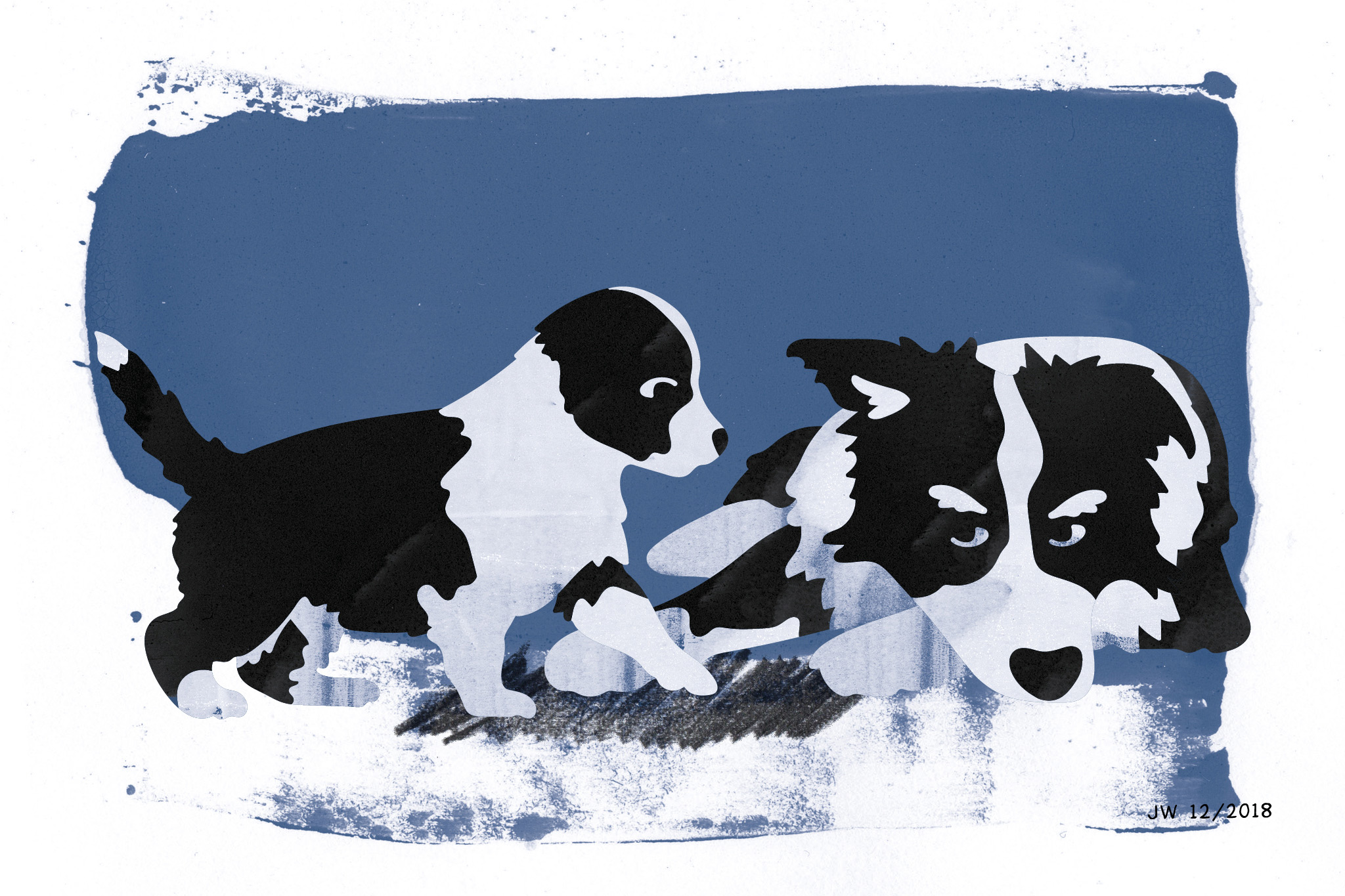 Hundeillustrationen (Border Collies) zu einer Weihnachtsgeschichte