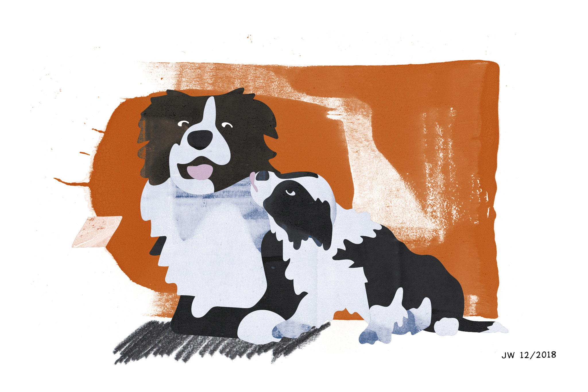 Hundeillustrationen (Border Collies) zu einer Weihnachtsgeschichte