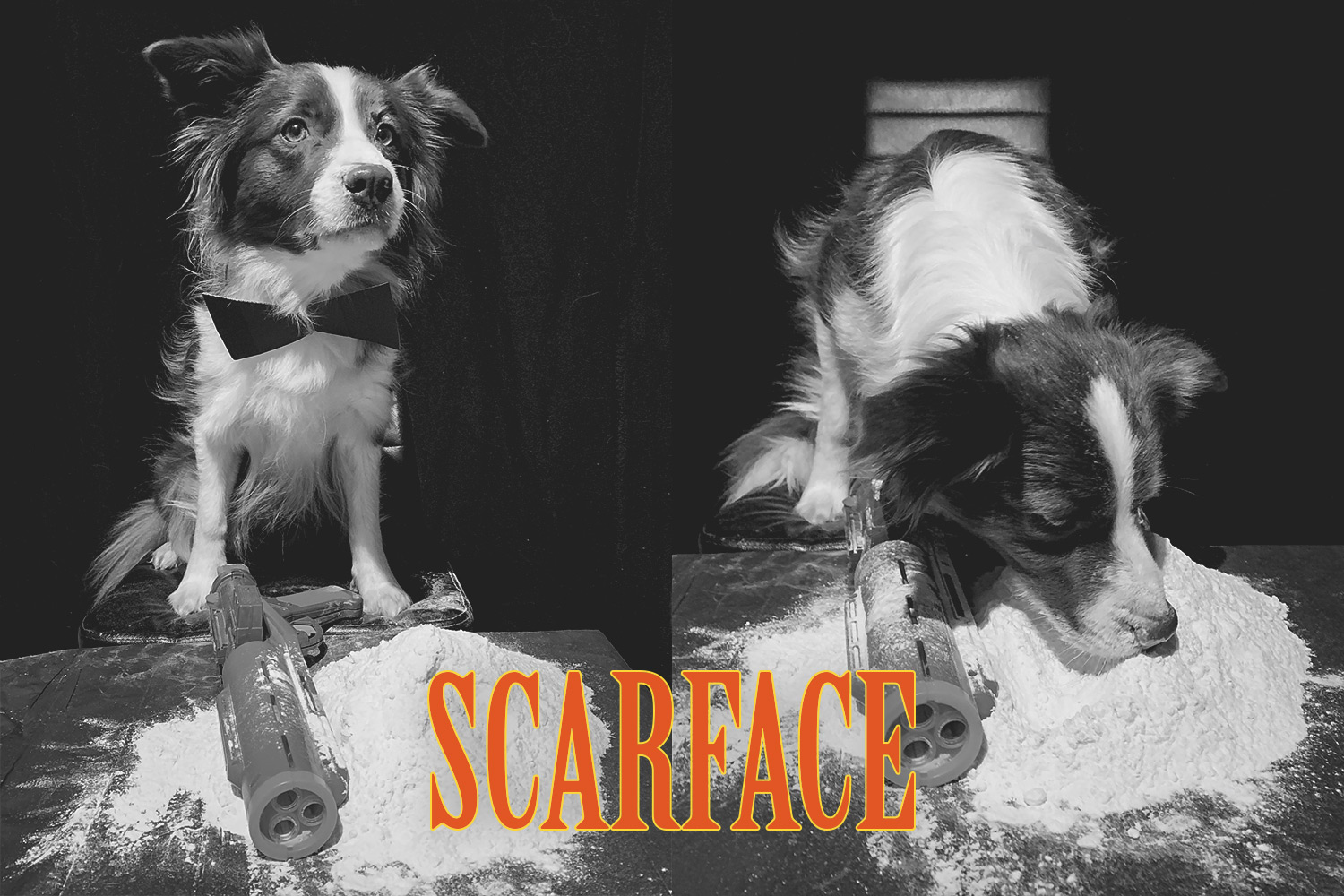 Edda (Broadmeadows Almost Rosey) in »Scarface«