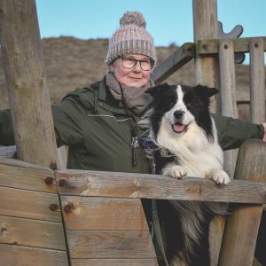 Border Collie als Filmhund