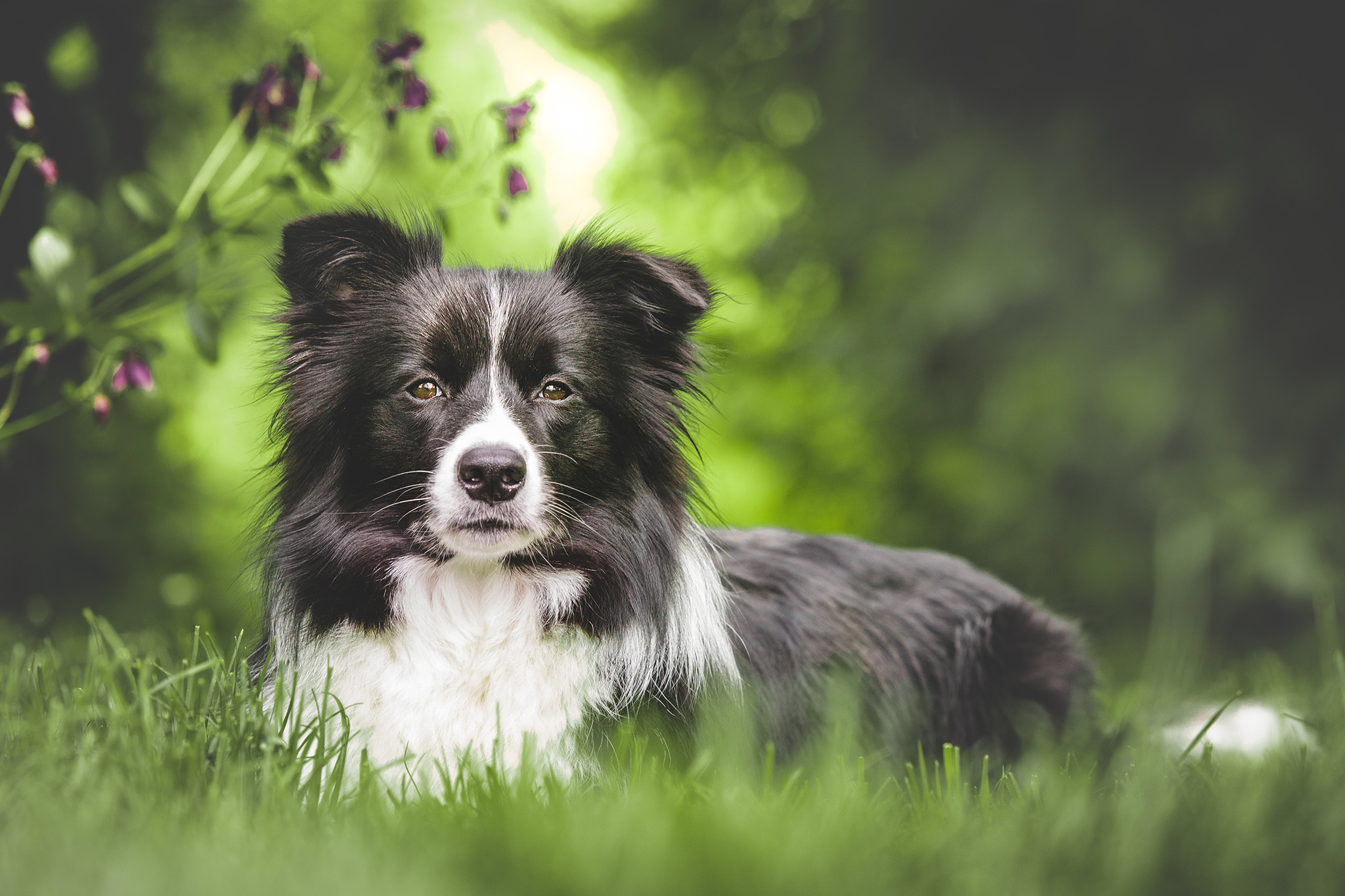 22|05|2019 – Am Nachmittag: die Temperatur ist gefallen, die Sonne kommt raus