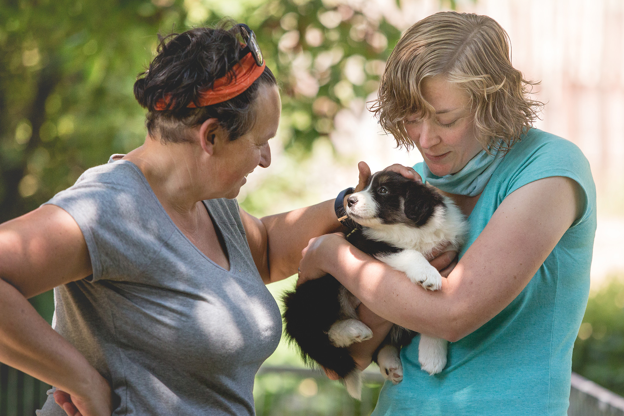 Border Collie Welpe mit zwei Frauen