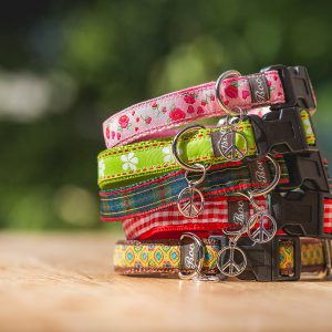 Welpenhalsbänder für fünf Border Collie Welpen, hergestellt von Boos Kleiner Shop