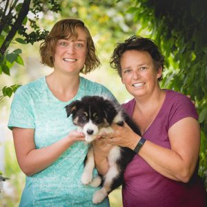 Border Collie Welpe mit neun Wochen am Tag der Abholung