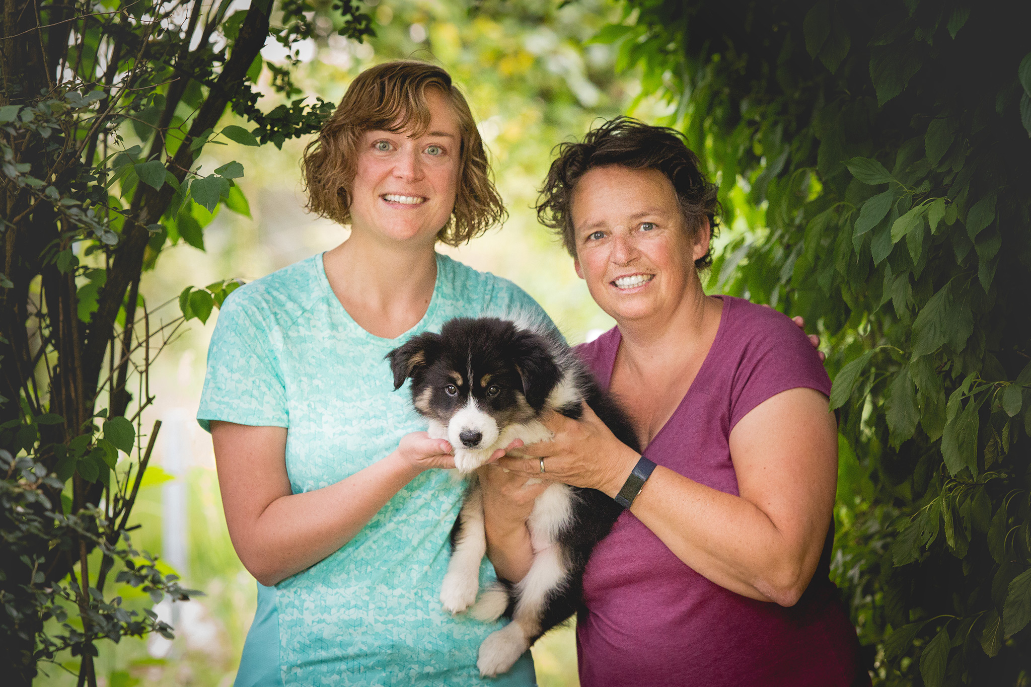 Border Collie Welpe mit neun Wochen am Tag der Abholung