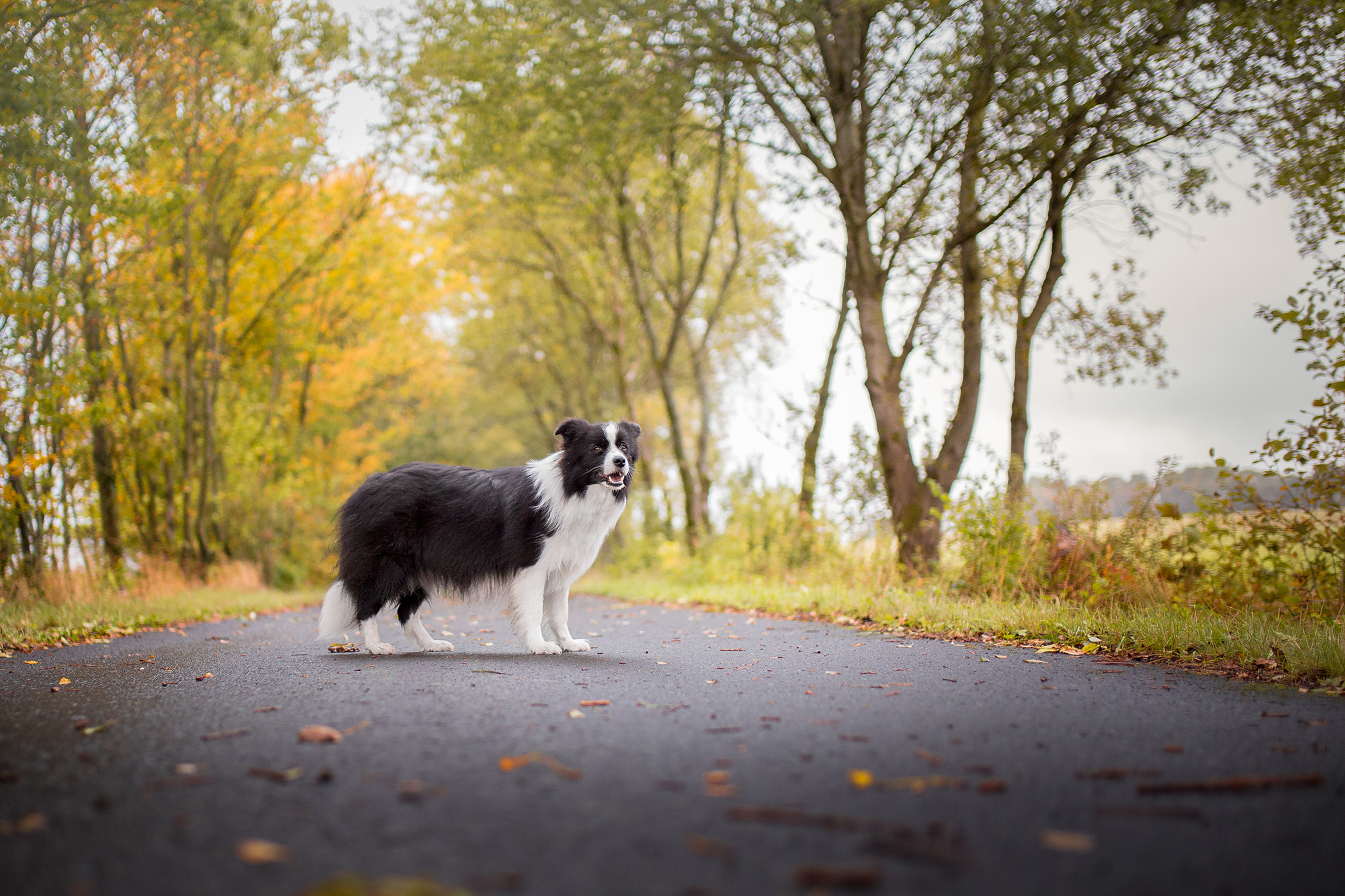 28|09|2019 – Ganz schön rund: Spaziergang am 56. Trächtigkeitstag