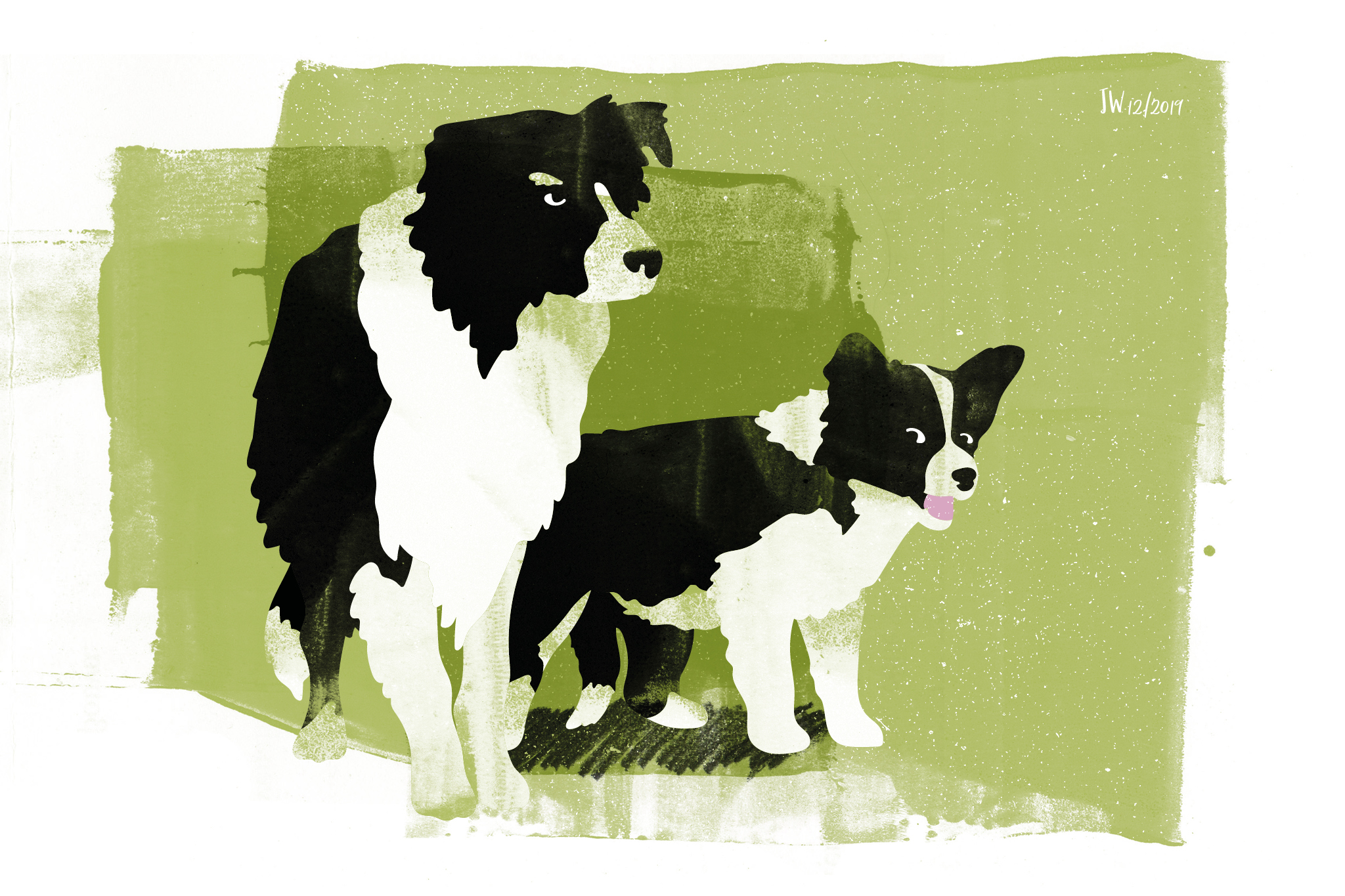 Border Collie, Weihnachtsmärchen, Illustration: Johannes Willwacher