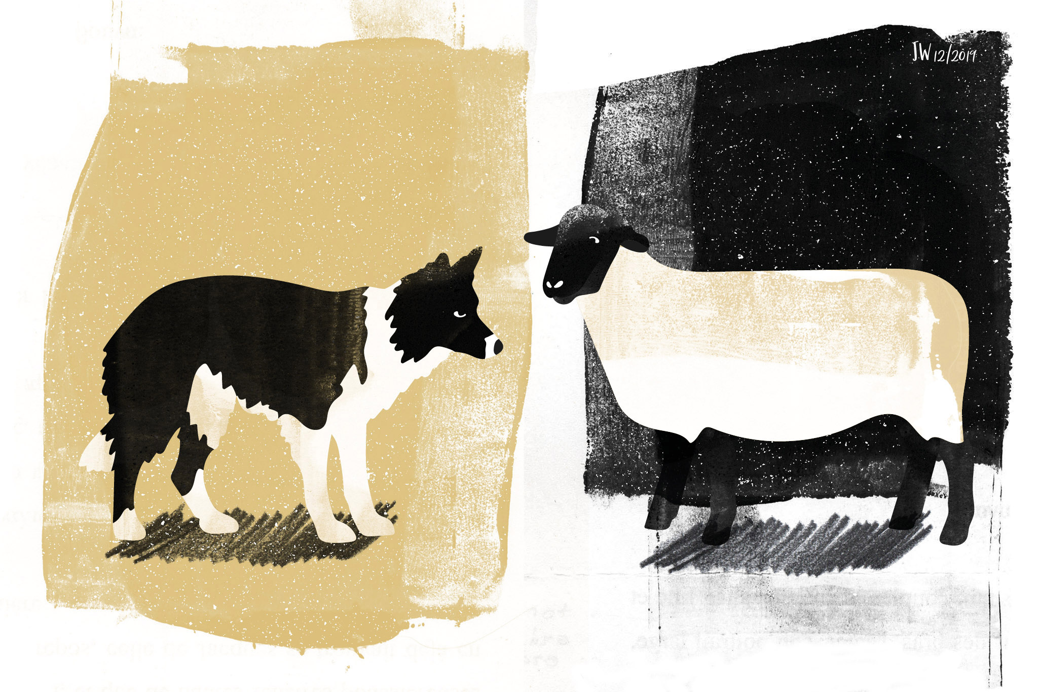 Border Collie, Weihnachtsmärchen, Illustration: Johannes Willwacher