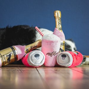 Hund mit Spielzeugen zum Geburtstag