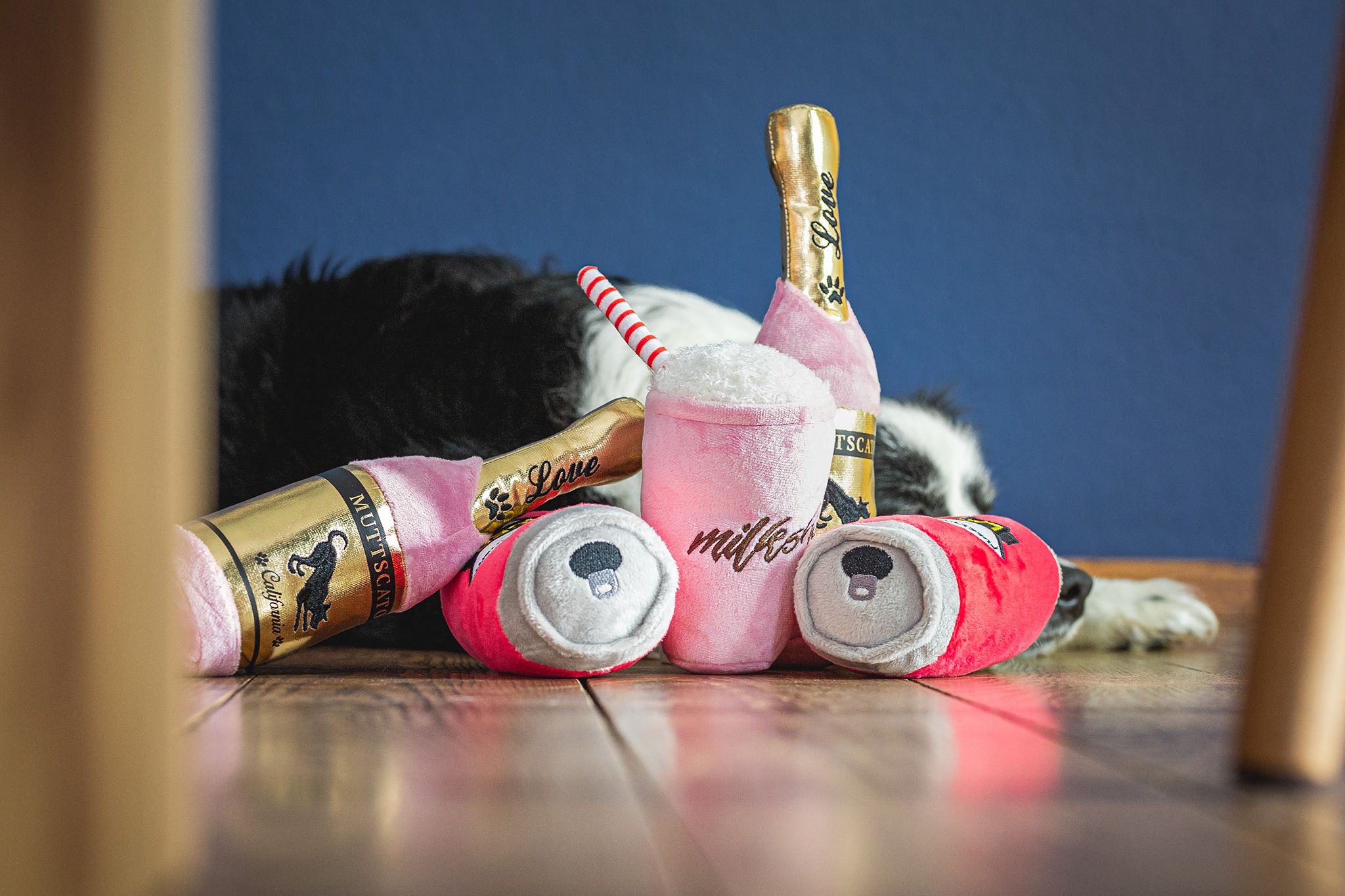 Hund mit Spielzeugen zum Geburtstag