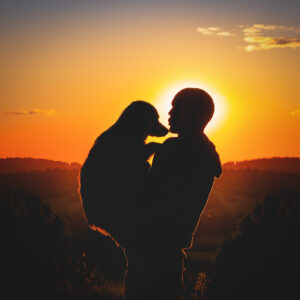 Mensch und Hund im Sonnenuntergang