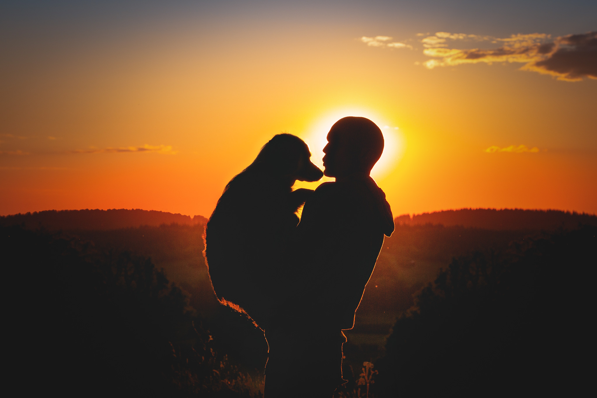 Mensch und Hund im Sonnenuntergang