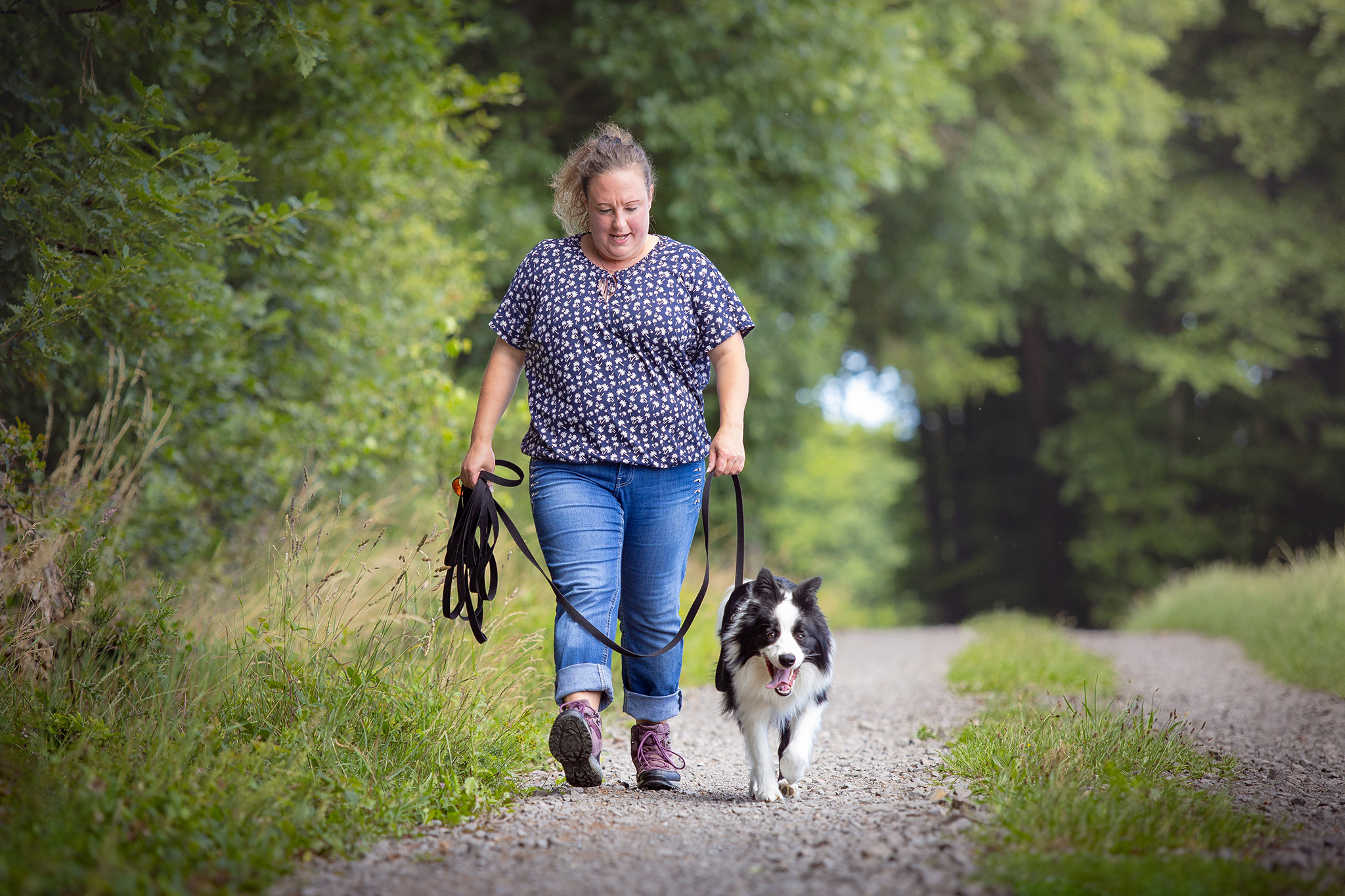 Border Collie Jungrüde mit acht Monaten