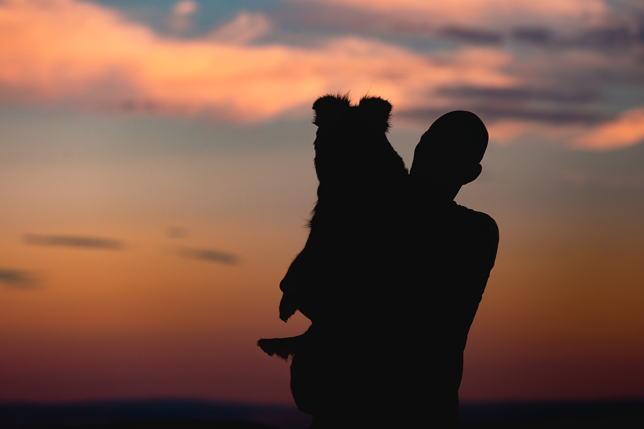 Mensch und Hund Silhouetten vor Abendhimmel