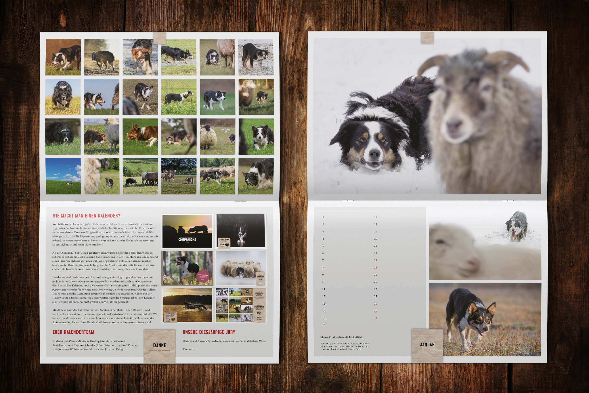 Wandkalender zugunsten von Border Collie in Not