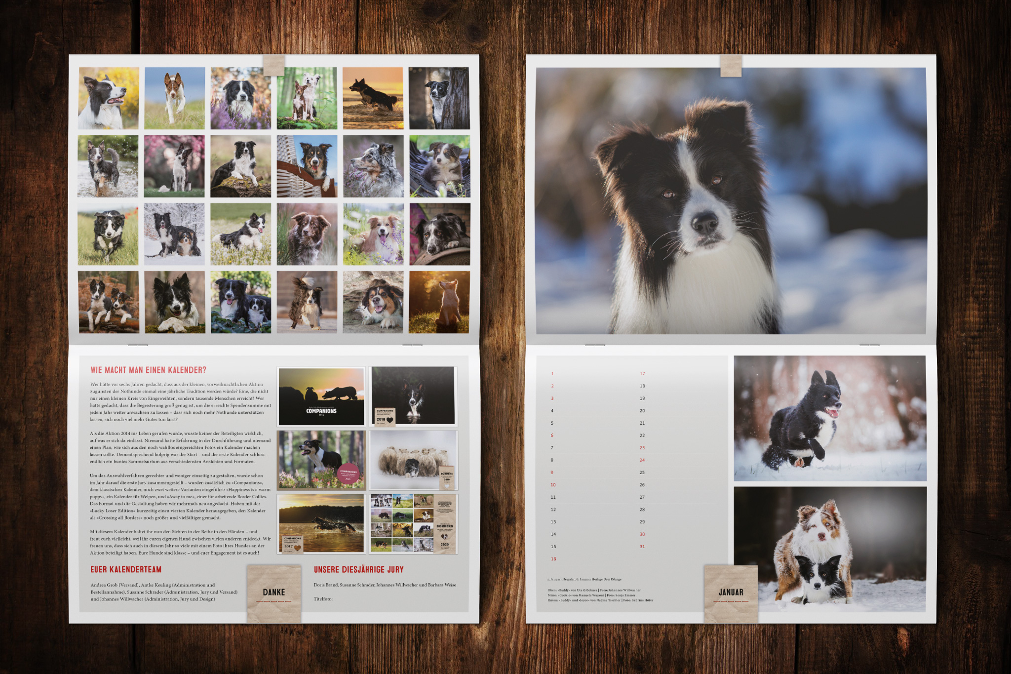 Wandkalender zugunsten von Border Collie in Not