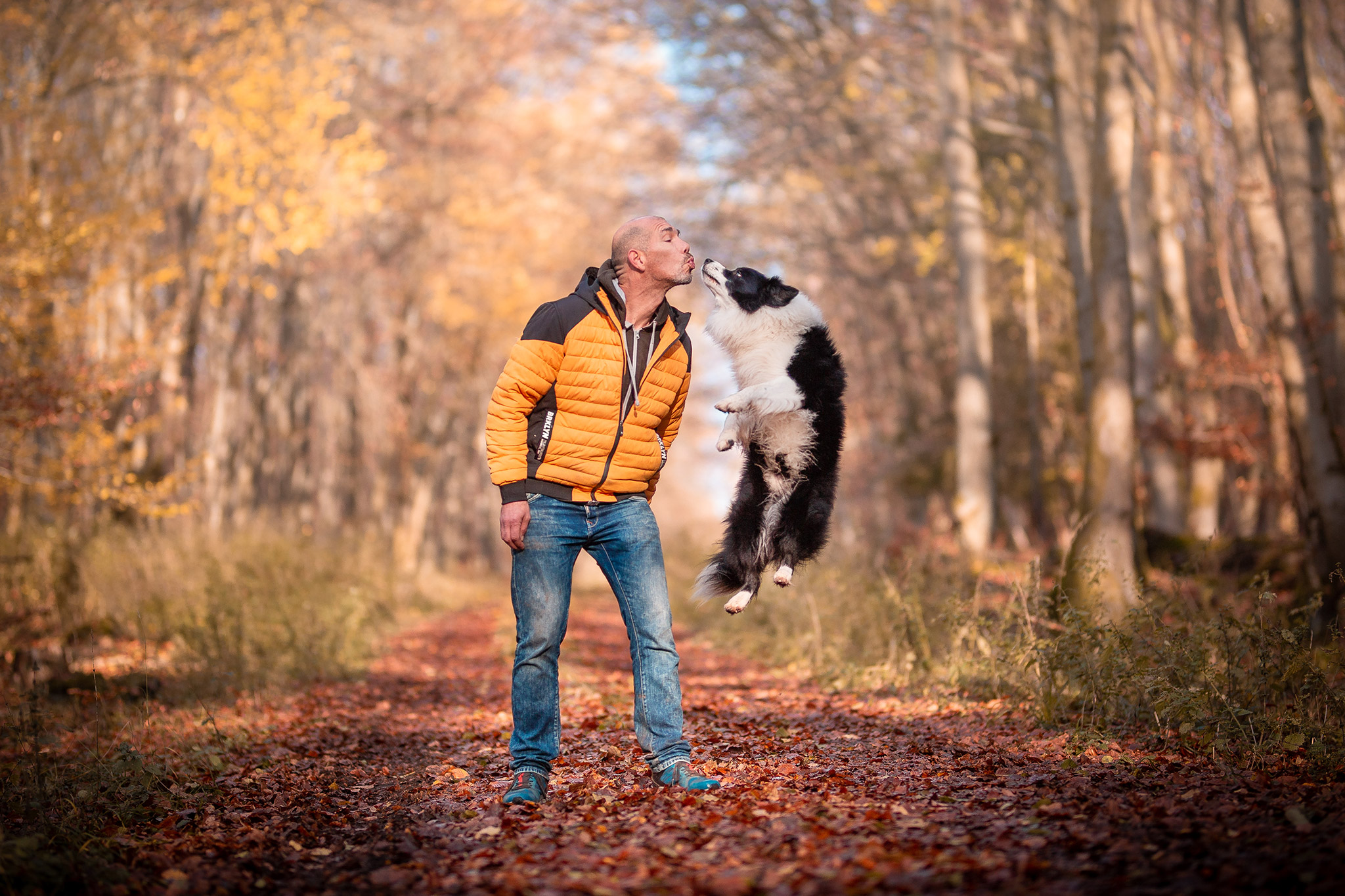 Mann mit springendem Border Collie