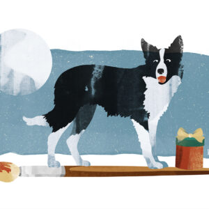 Border Collie Weihnachtsgeschichte, Illustration