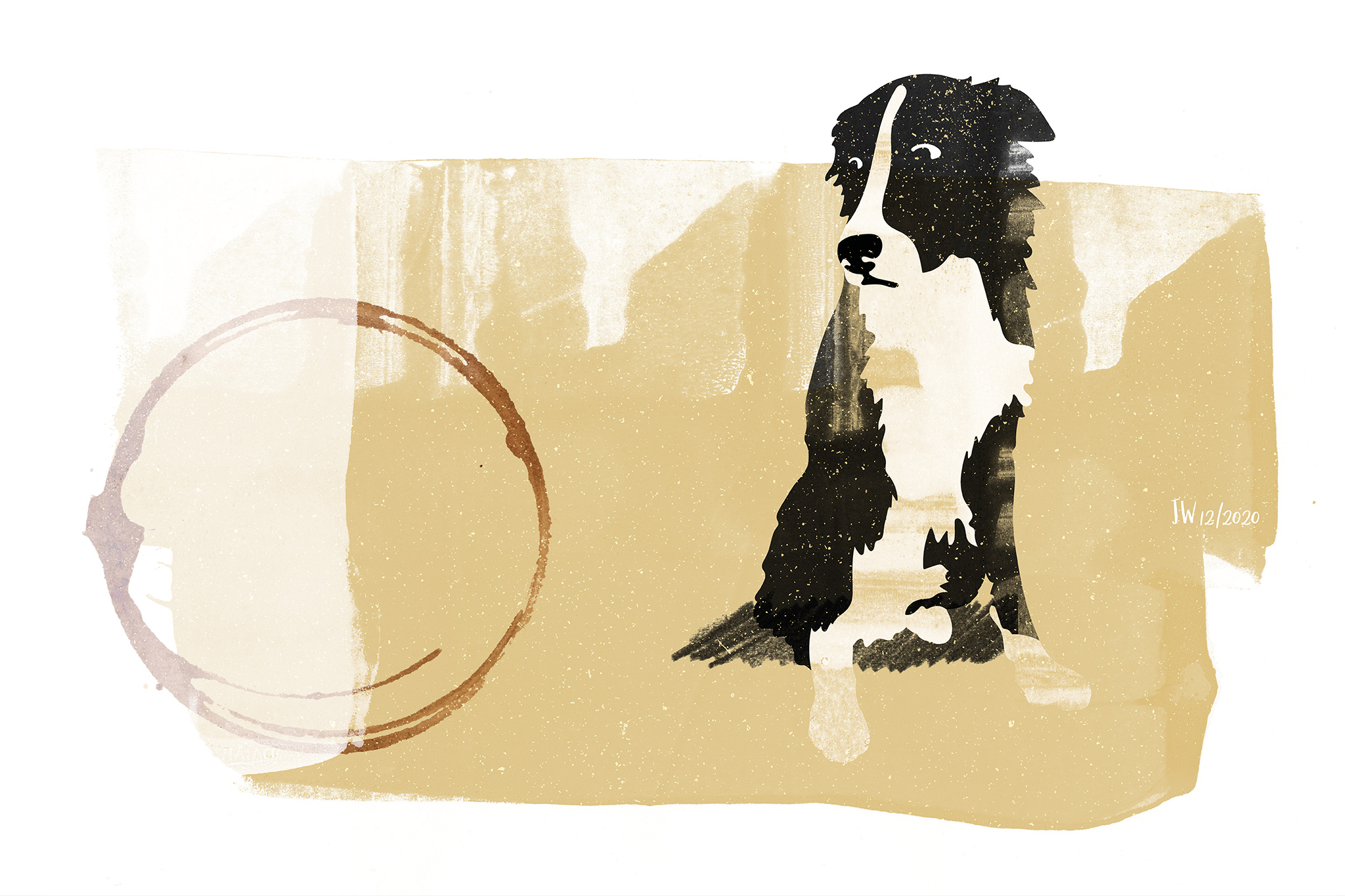 Border Collie Weihnachtsgeschichte, Illustration