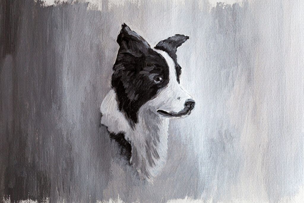 Border Collie Gemälde, Acrylfarben