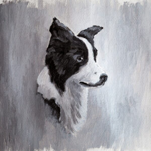 Border Collie Gemälde, Acrylfarben