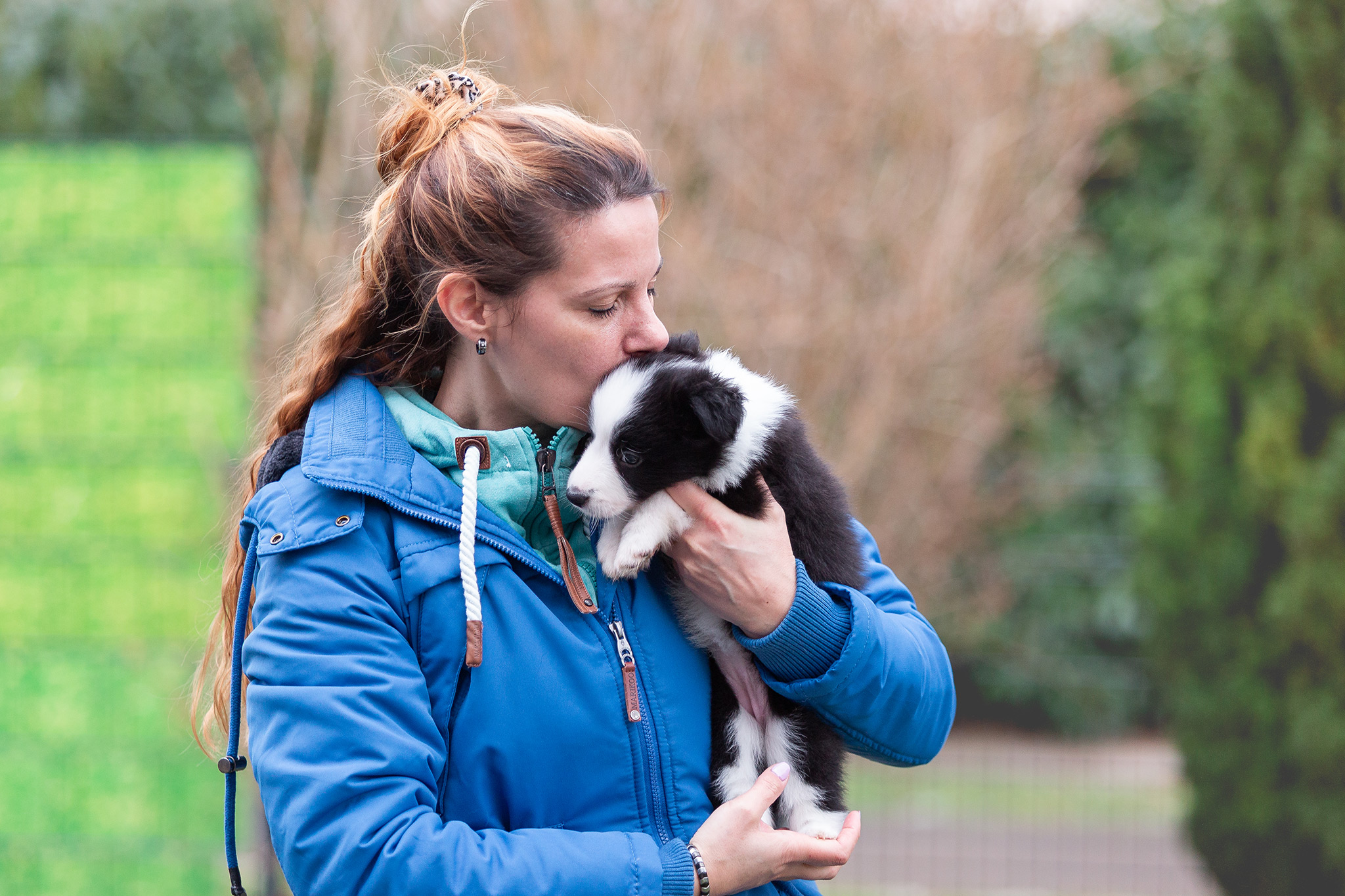 Border Collie Welpen