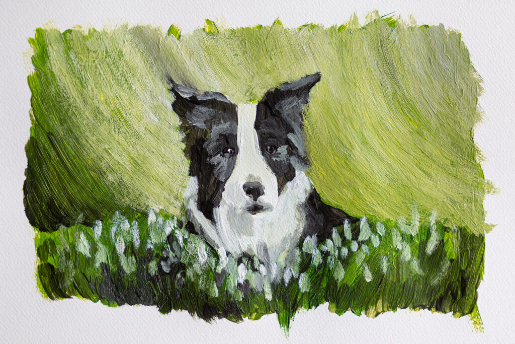 Acrylgemälde einer Border Collie Hündin in Schneeglöckchen