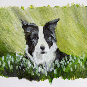 Acrylgemälde einer Border Collie Hündin in Schneeglöckchen